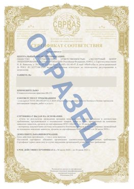 Образец Сертификат СТО 01.064.00220722.2-2020 Карагай Сертификат СТО 01.064.00220722.2-2020 