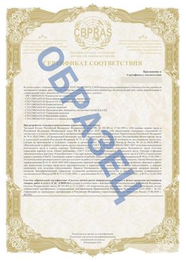Образец Приложение к СТО 01.064.00220722.2-2020 Карагай Сертификат СТО 01.064.00220722.2-2020 